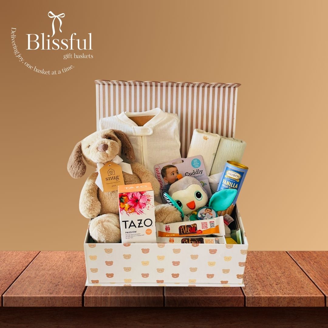 Welcome Little One Gift Basket - Boy